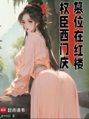 权臣西门庆，篡位在红楼漫画封面图片